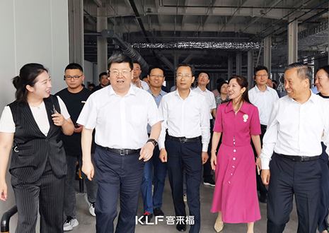 热烈欢迎安徽省淮南市委书记一行调研星空(中国)xingkong智能家居产业园建设项目